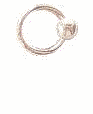 Body Rings With or Without Crystals